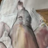 EL REPOSO - Imagen 5